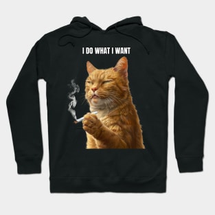 The Smoker Ginger Hoodie